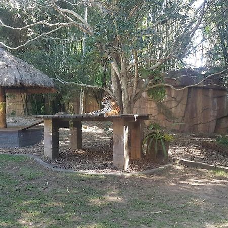 Beerwah House Villa Exterior photo